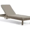 Broyhill Eagle Brooke All-Weather Wicker Cushioned Chaise Lounger