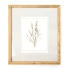 Botanical Linen Framed Print