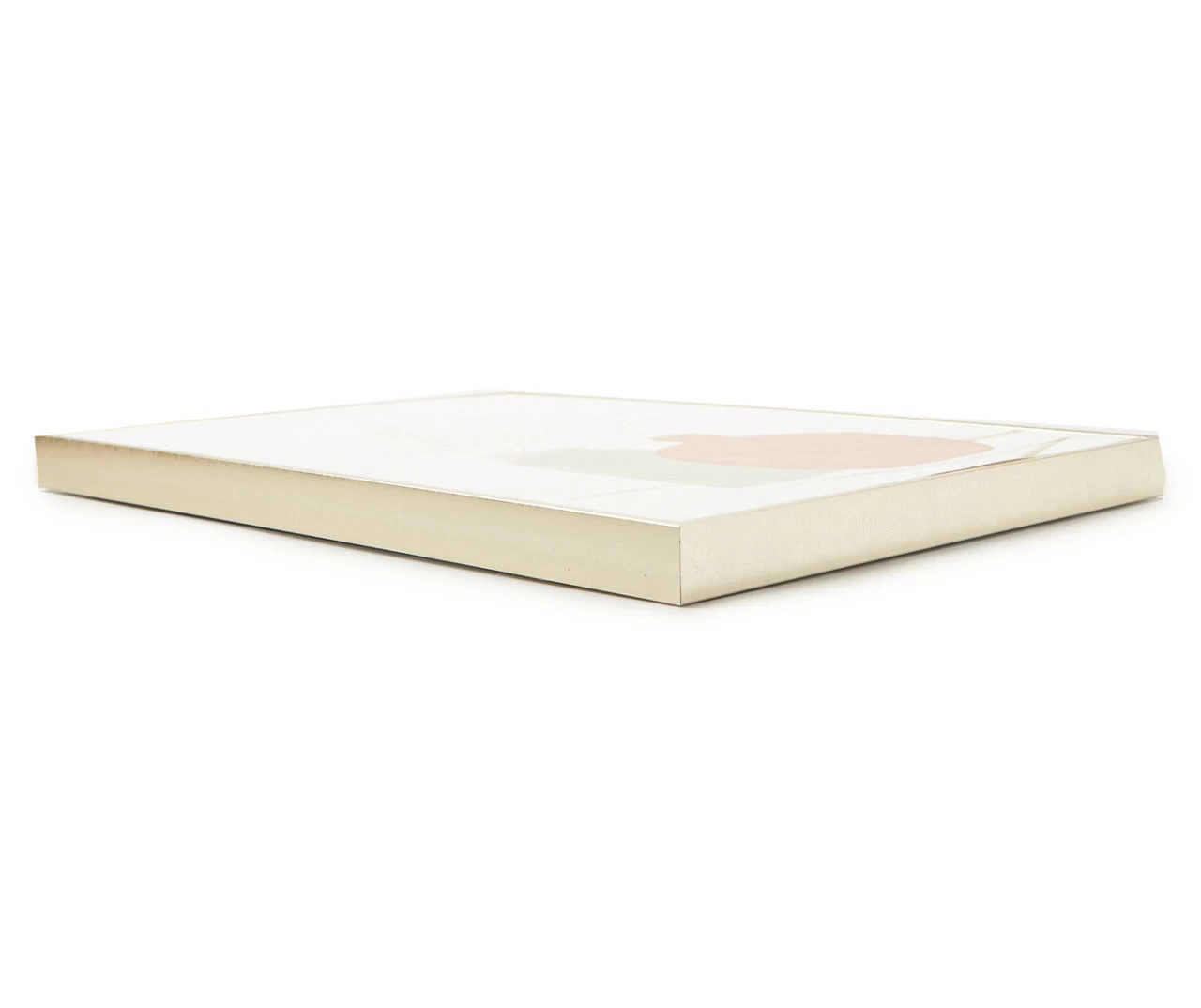 Pink & Gray Potted Plants Framed Canvas - Image 2