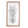 Black & Brown Botanical Line Drawing Leafy Plant Framed Wall Art