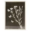 Black & White Butterfly Botanical Framed Art Print