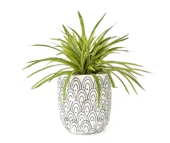 Grass In Arch Pattern Pot