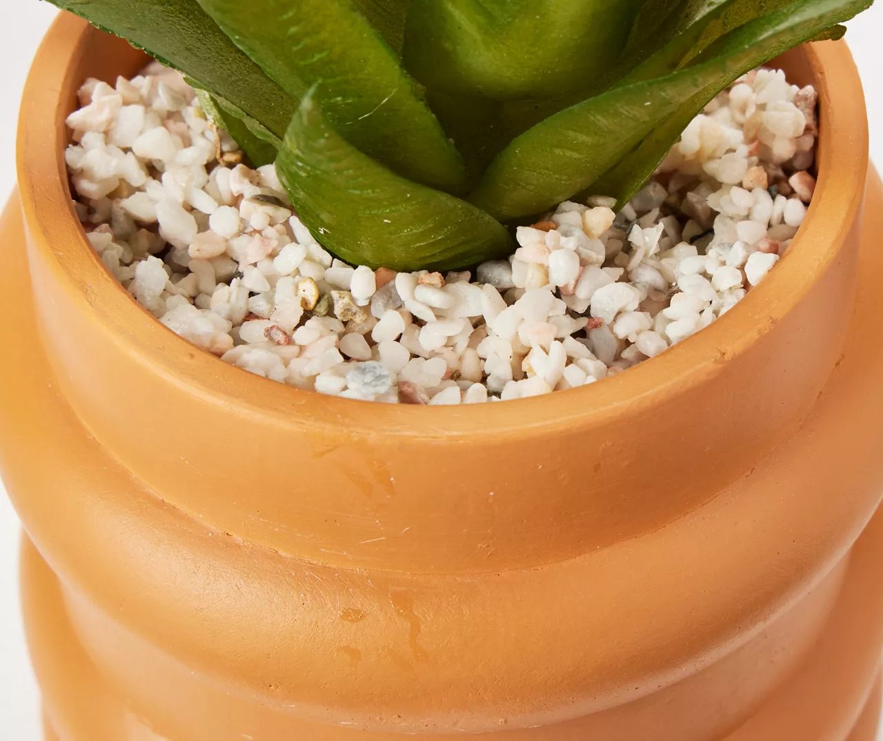 Wild Sedona Artificial Succulent In Orange Ribbed Cement Pot - Image 2