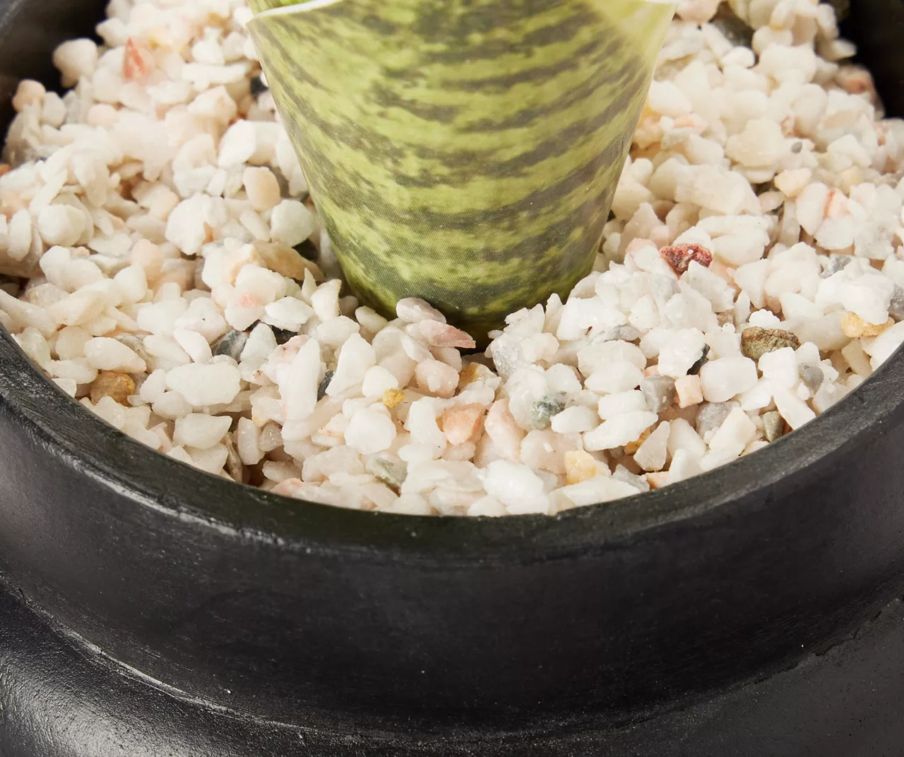 Wild Sedona Artificial Succulent In Black Ribbed Cement Pot - Image 2