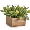 Artificial Greenery With Brown Square Wood Pot & Glass Hurricane