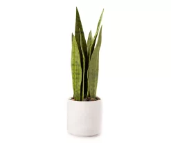 Wild Sedona Artificial Snake Plant With White Ceramic Pot