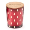 Festive Gathering Frasier Apple Wreath 2-Wick Candle, 16 Oz.